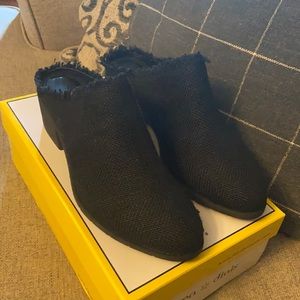 🌼 NIB Seven dials